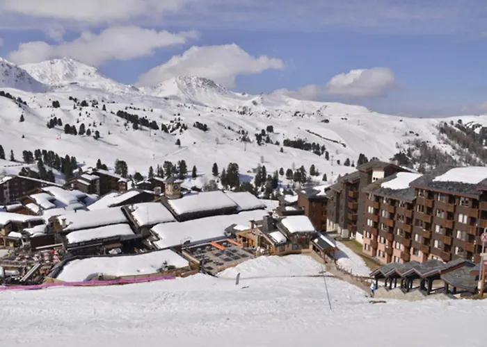 Confort 6 Pers. Au Pied Des Pistes, Animaux Acceptes - Fr-1-181-982 La Plagne