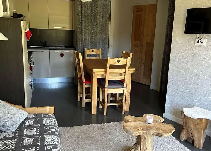 Confort 6 Pers. Au Pied Des Pistes, Animaux Acceptes - Fr-1-181-982 * La Plagne