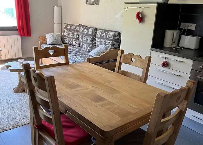 Confort 6 Pers. Au Pied Des Pistes, Animaux Acceptes - Fr-1-181-982 Appartement *